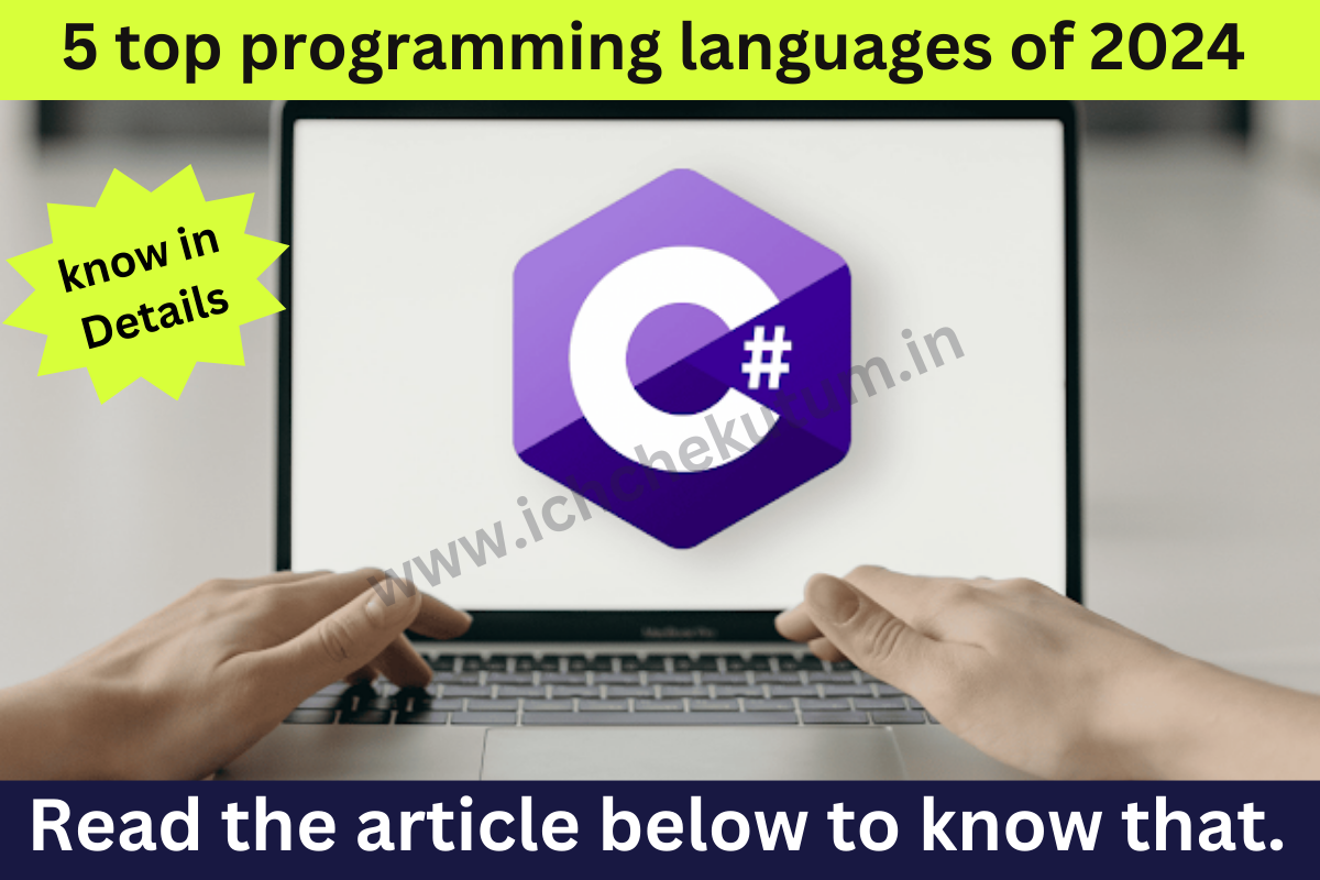 5 top pick programming languages of 2024